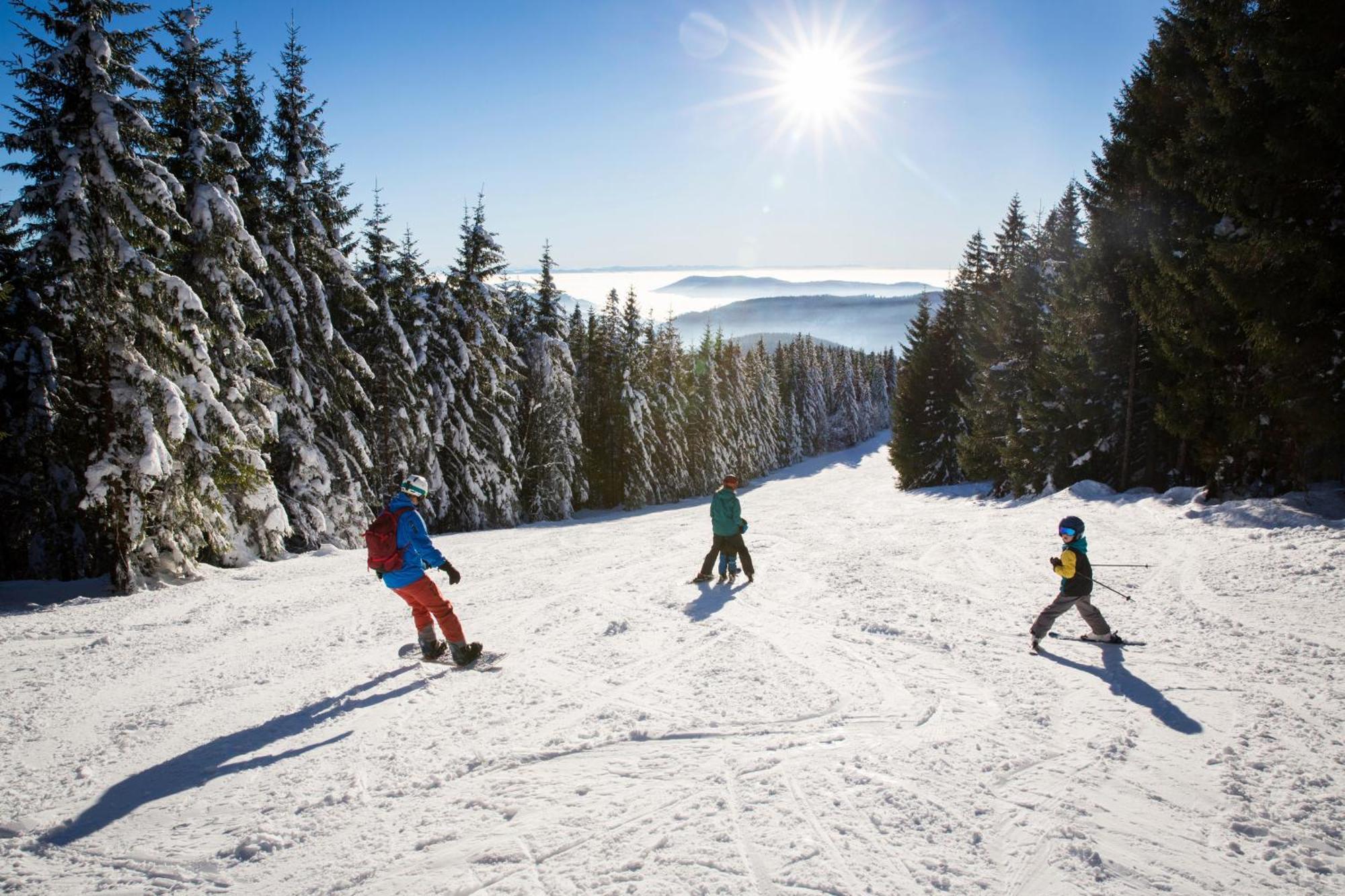 Haus Wiesenquelle - Fewo 14 "Timeout", Feldberg Rinken 外观 照片